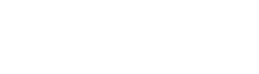 Salon Professional